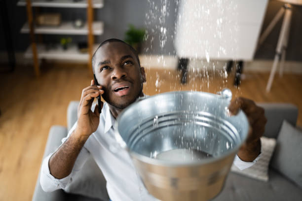 Best Ceiling water damage repair  in Sullivan, MO