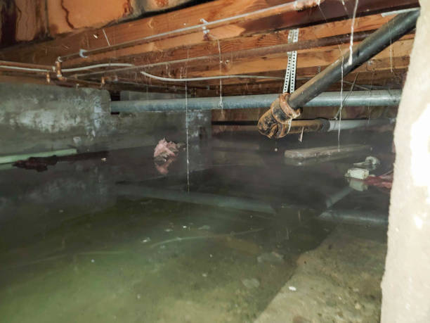 Best 24-hour water damage restoration  in Sullivan, MO