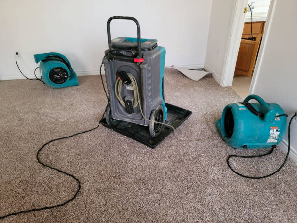 Best Sewage cleanup and water damage restoration  in Sullivan, MO