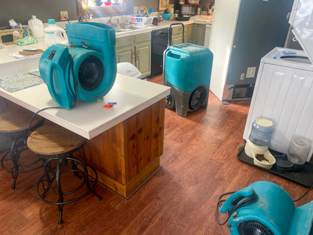 Carpet water damage restoration in Sullivan, MO