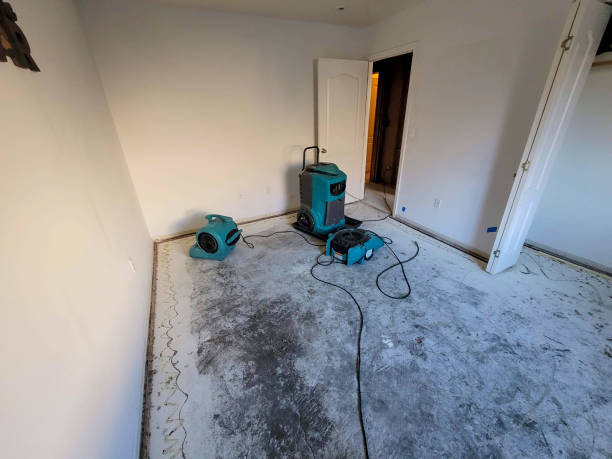 Best Commercial water damage restoration  in Sullivan, MO