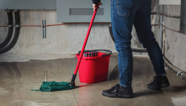 Best Water damage restoration services  in Sullivan, MO