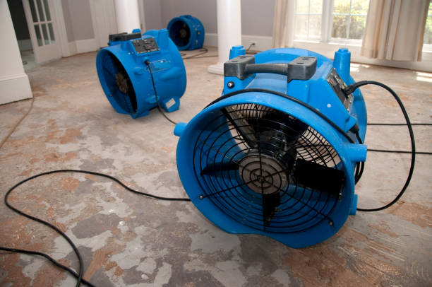 Best Flooded house restoration  in Sullivan, MO