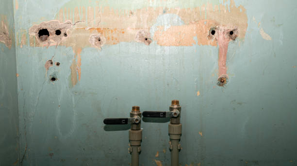Best Local water damage restoration  in Sullivan, MO