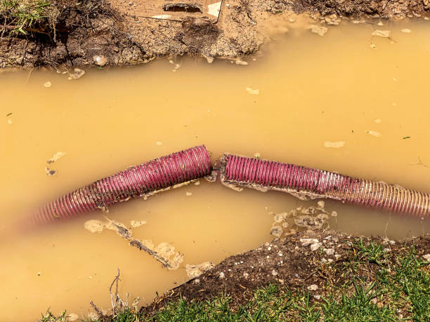 Best 24/7 water damage repair  in Sullivan, MO
